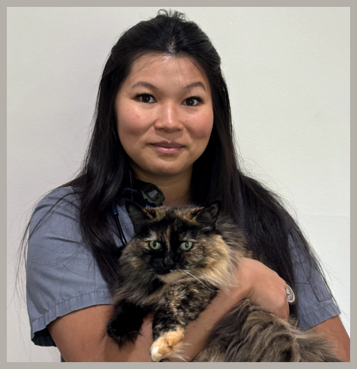 Dr. Heidi Wong