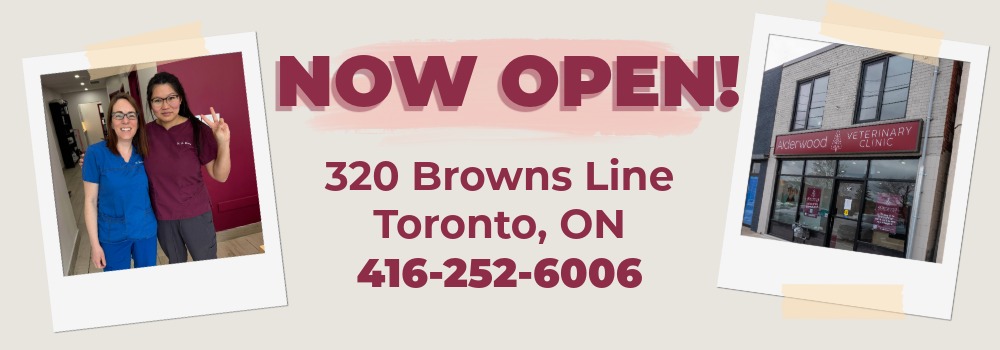 Now open at 320 Browns Line